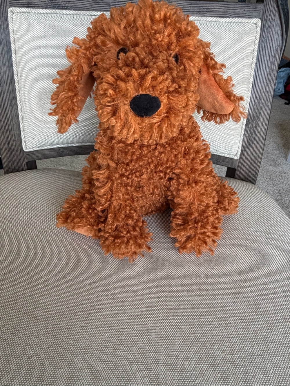 Jellycat London retired, plush dog Cooper rust Brown curly 10 inch NWT